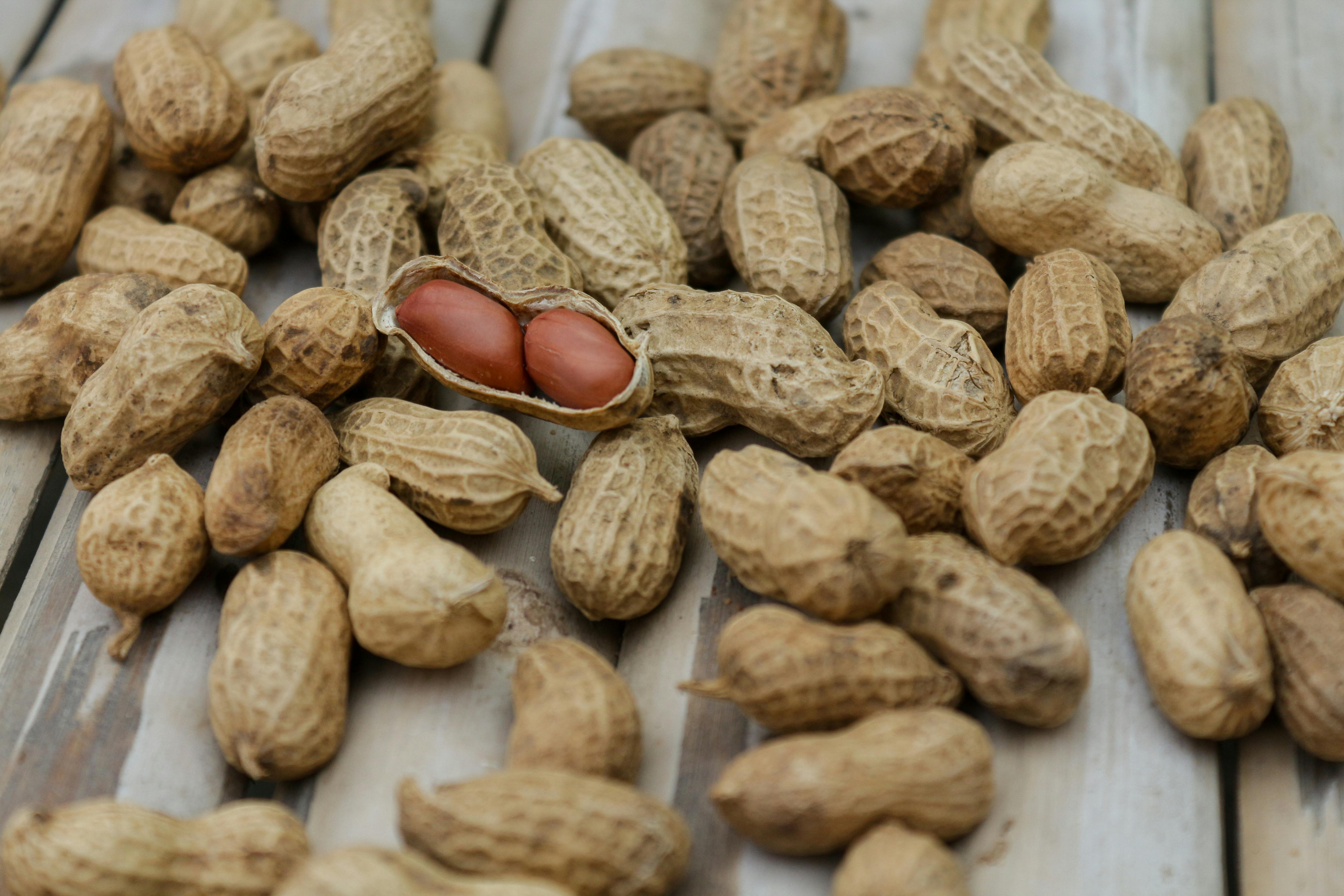 Photo by shattha pilabut: https://www.pexels.com/photo/close-up-photo-of-peanuts-135755/
