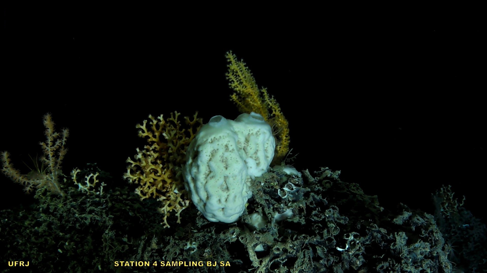  PROBIO-DEEP/Fugro
