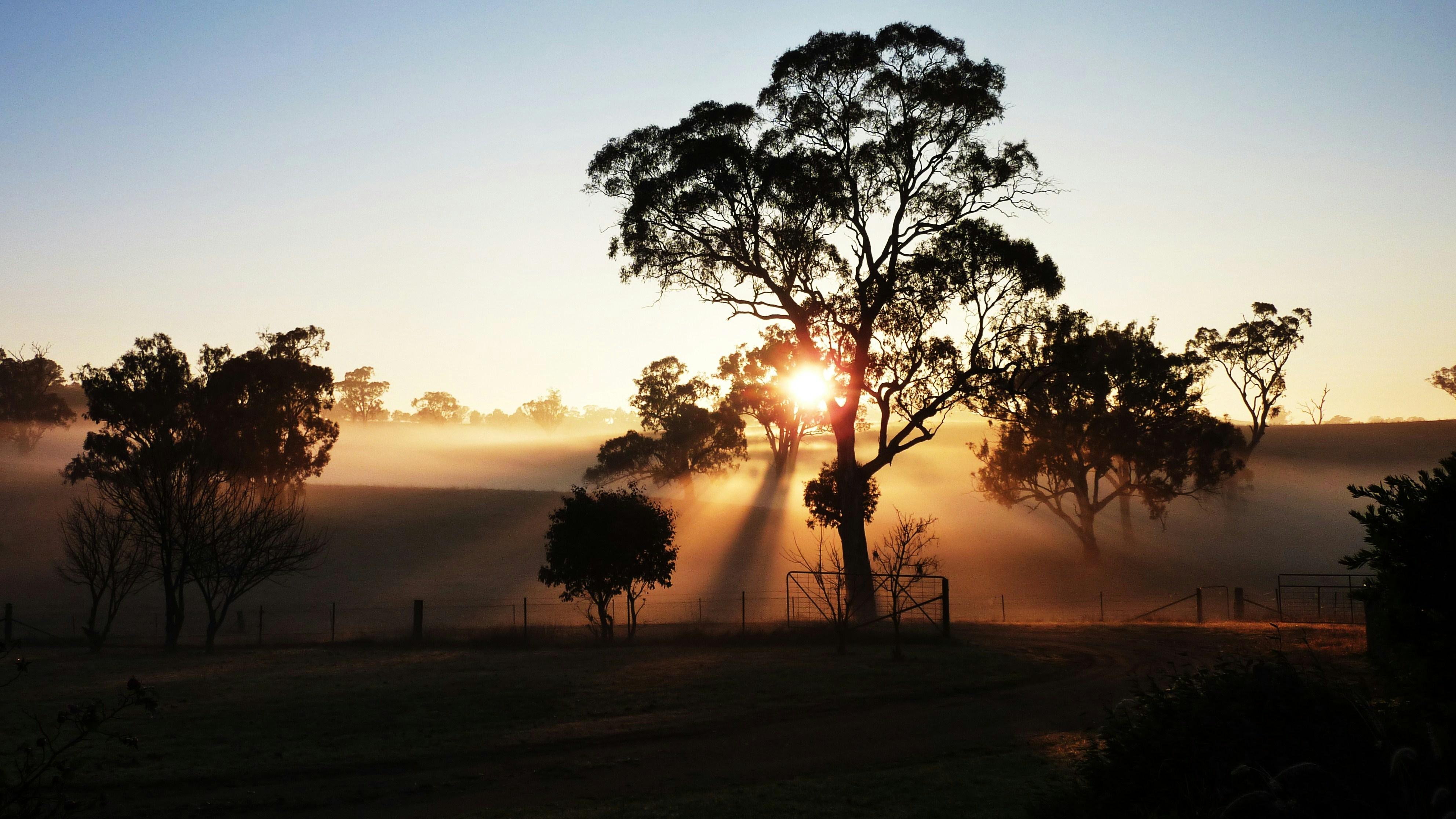 Photo by Elsa GUYADER on Unsplash