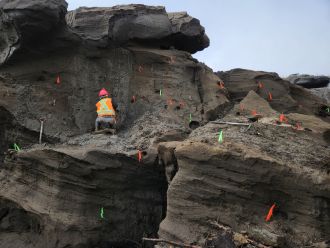 Permafrost cores at Hunker Creek, Yukon