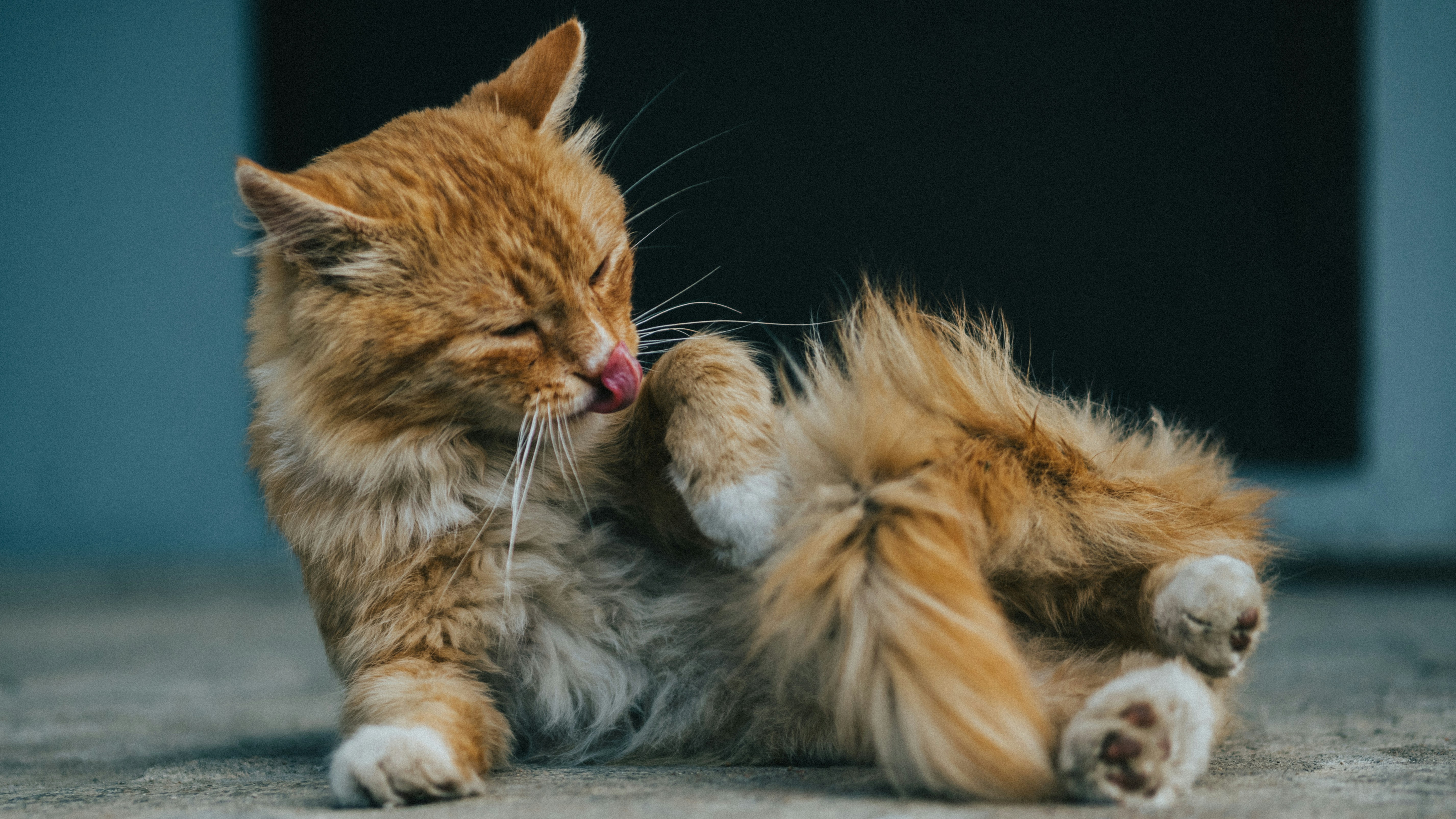 Photo by Maksim Samuilionak on Unsplash