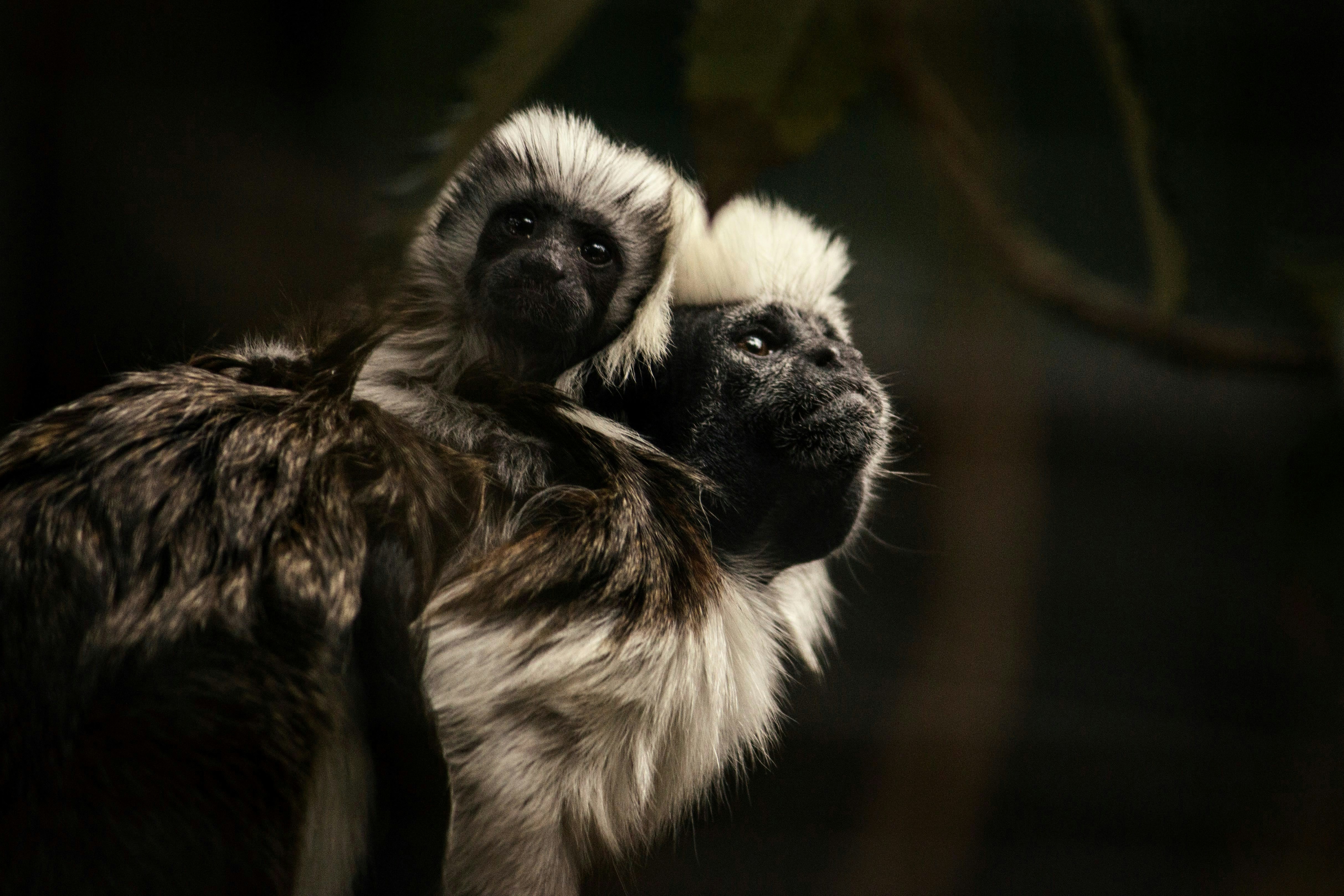 Photo by Rebecca Campbell on Unsplash