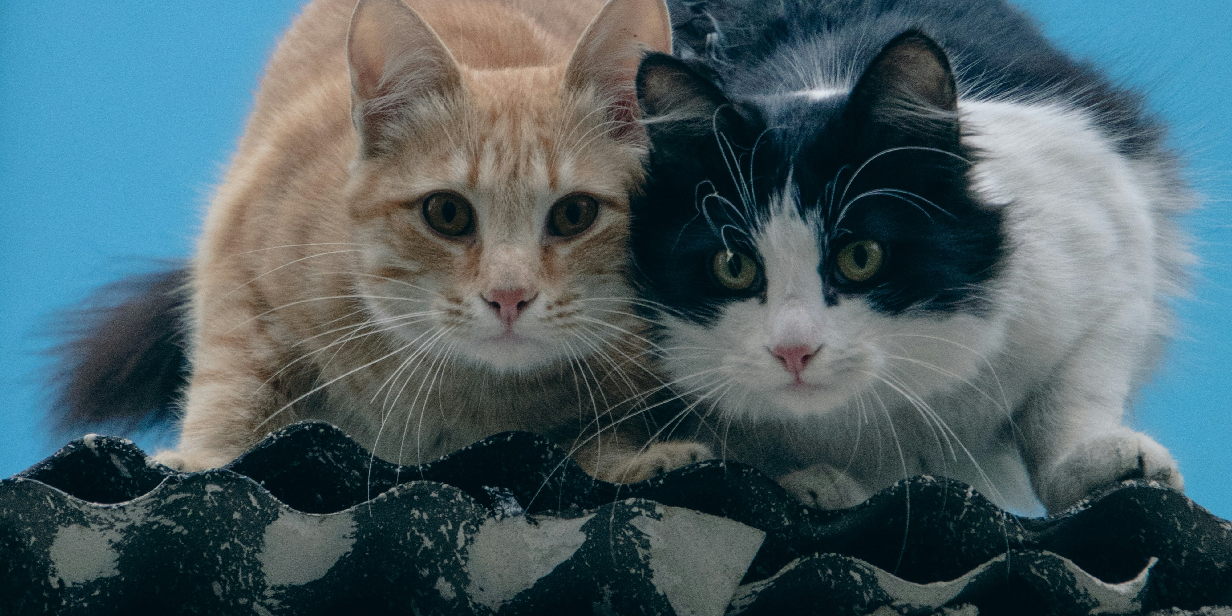 Photo by Tatiana Mokhova on Unsplash