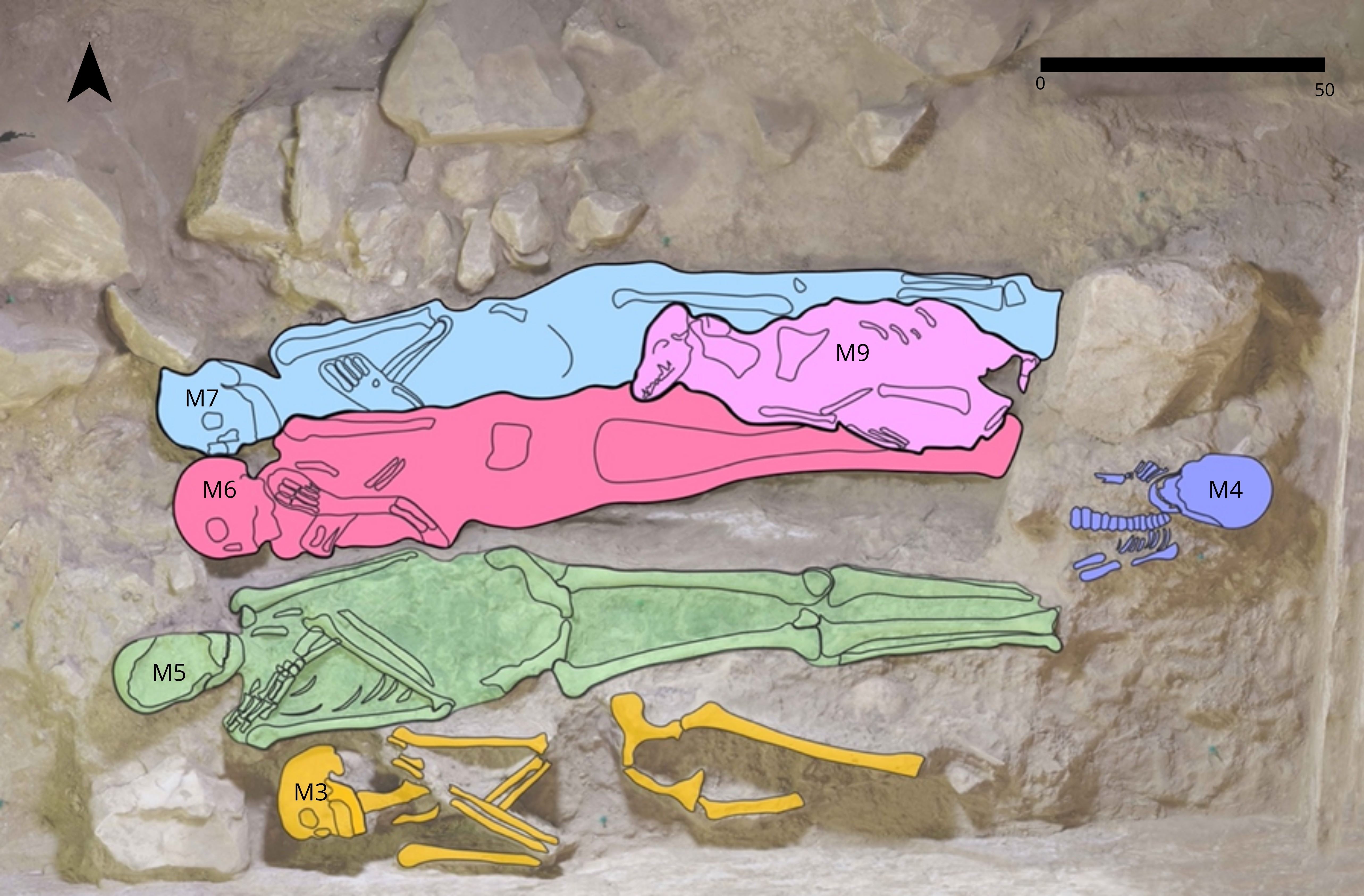 Figure 4: Detail of superposition and spatial relationships between individuals in SC3 (TT 209). The figure shows the relative position of several individuals (M7, M6, M9, M5, M3 and M4), highlighting direct vertical contacts and partial overlaps between bodies. M6 and M7 are closely superimposed, with the canid (M9) placed over their lower limbs. Drawing: J. Carballo-Pérez.