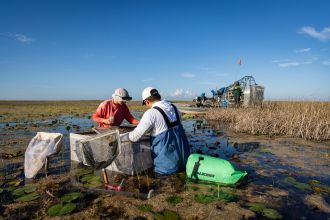 Research in Action runner-up: Everglades. 