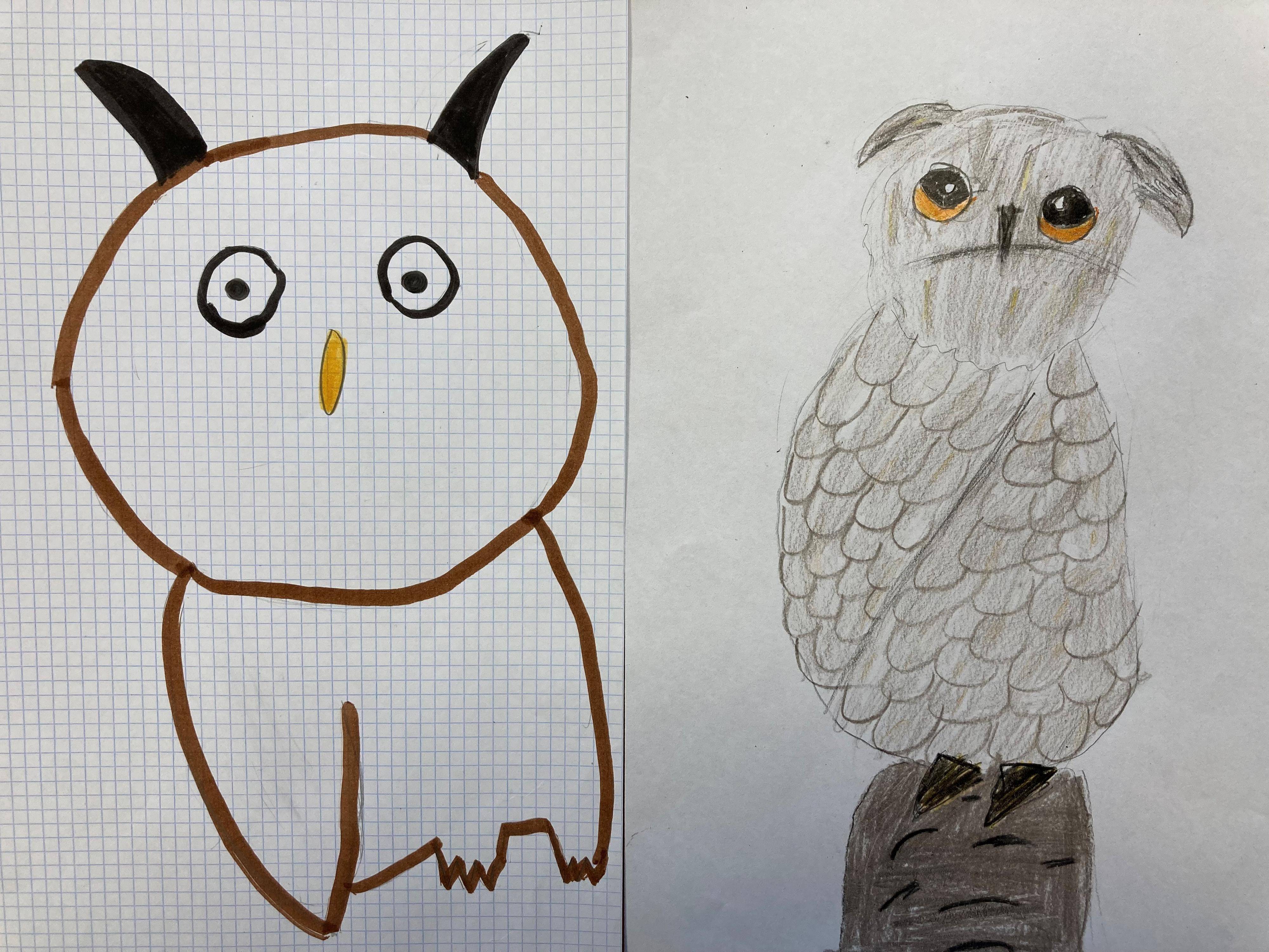 Drawings of owls by children aged 6 - 9 years. Credit: Juan J. Negro.