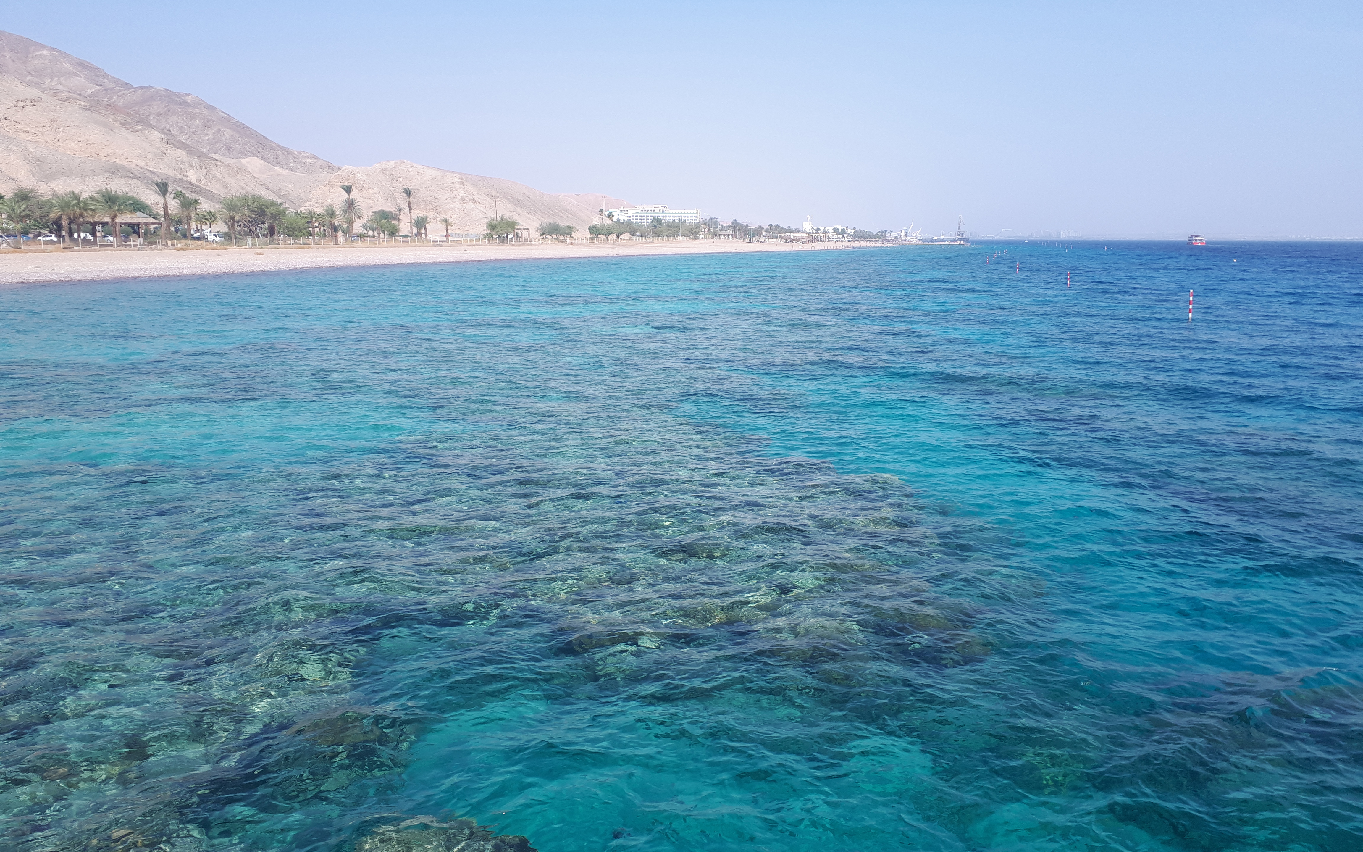 Gulf of Aqaba. Credit: Geological Survey Israel; The University of Queensland