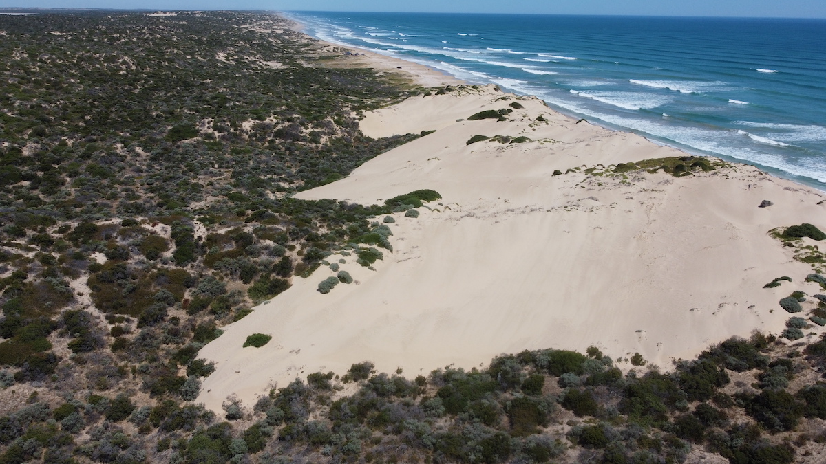 40 Mile Beach Dunes in South Australia's Coorong region. Photo courtesy P Hesp (Flinders University)