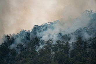 The habitats of Australia's threatened species are experiencing widespread declines in unburnt areas and increases in fire frequency, new research suggests. The study looked at fire patterns across southern Australia from 1980 to 2021, spanning 415 reserves (21.5 million ha) which house 129 threatened species of birds, mammals, reptiles, invertebrates, and frogs. They found that fire frequency had increased by 32%, and the area of unburnt vegetation dropped from 61% to 36%. The widespread changes are affecting conservation reserves and fire-threatened species within the region, with areas at high elevation, high environmental productivity, and strong rainfall decline experiencing the most severe impacts. The authors say their results paint a sobering picture for threatened species in fire-prone landscapes.