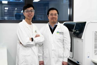 WEHI Researchers