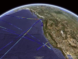 Phytoplankton distribution