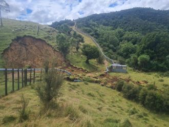 In 2023 Cyclone Gabrielle damaged 82% of North Island ecosanctuaries, meaning that effort and money had to go into repairs rather than progress. Researchers found that the most commonly reported damage was from wind (91% of affected sanctuaries), followed by erosion (85%) and flooding (45%). Worryingly, when pest exclusion fences were damaged, pests were quick to enter the sanctuaries. The researchers point out that while there was a lot of damage to individual projects, the network of ecosanctuaries is encouragingly resilient. They make several recommendations, including that ecosanctuaries develop disaster response plans, remove large trees next to fences and other infrastructure, and assemble a disaster response kit to help respond rapidly to damage after extreme weather events.