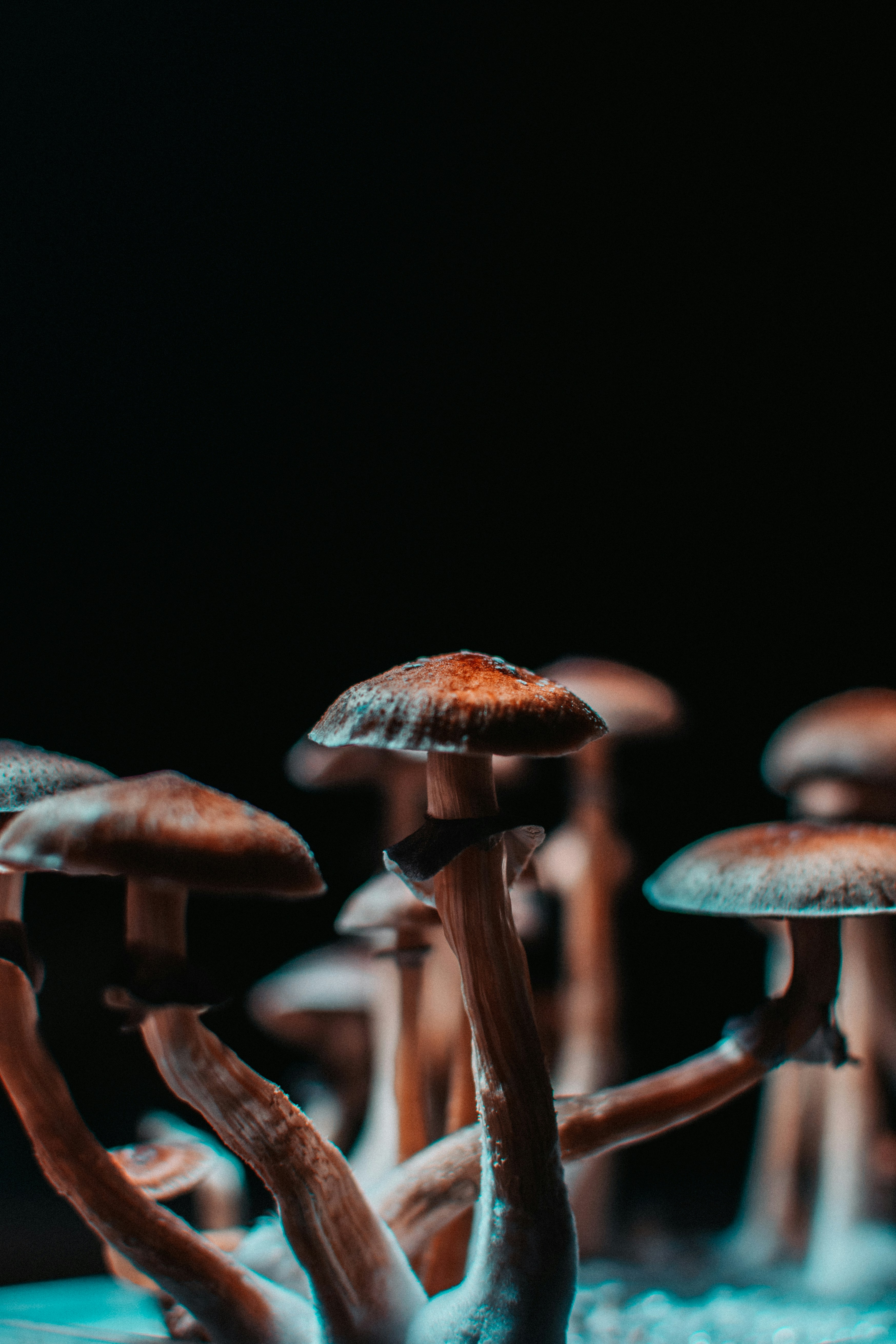 PHOTO: Marco Allegretti on Unsplash