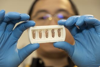 Dr Zihao Wang examines the ‘artery on a chip’