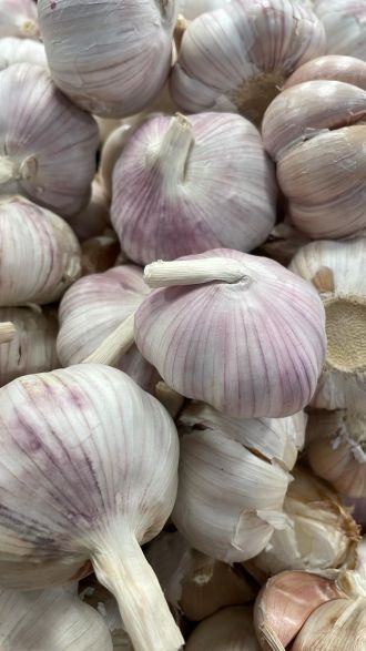 Garlic has antimicrobial efficacy 
