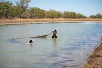 Seine netting a floodplain pool on the Martuwarra Fitzroy River
