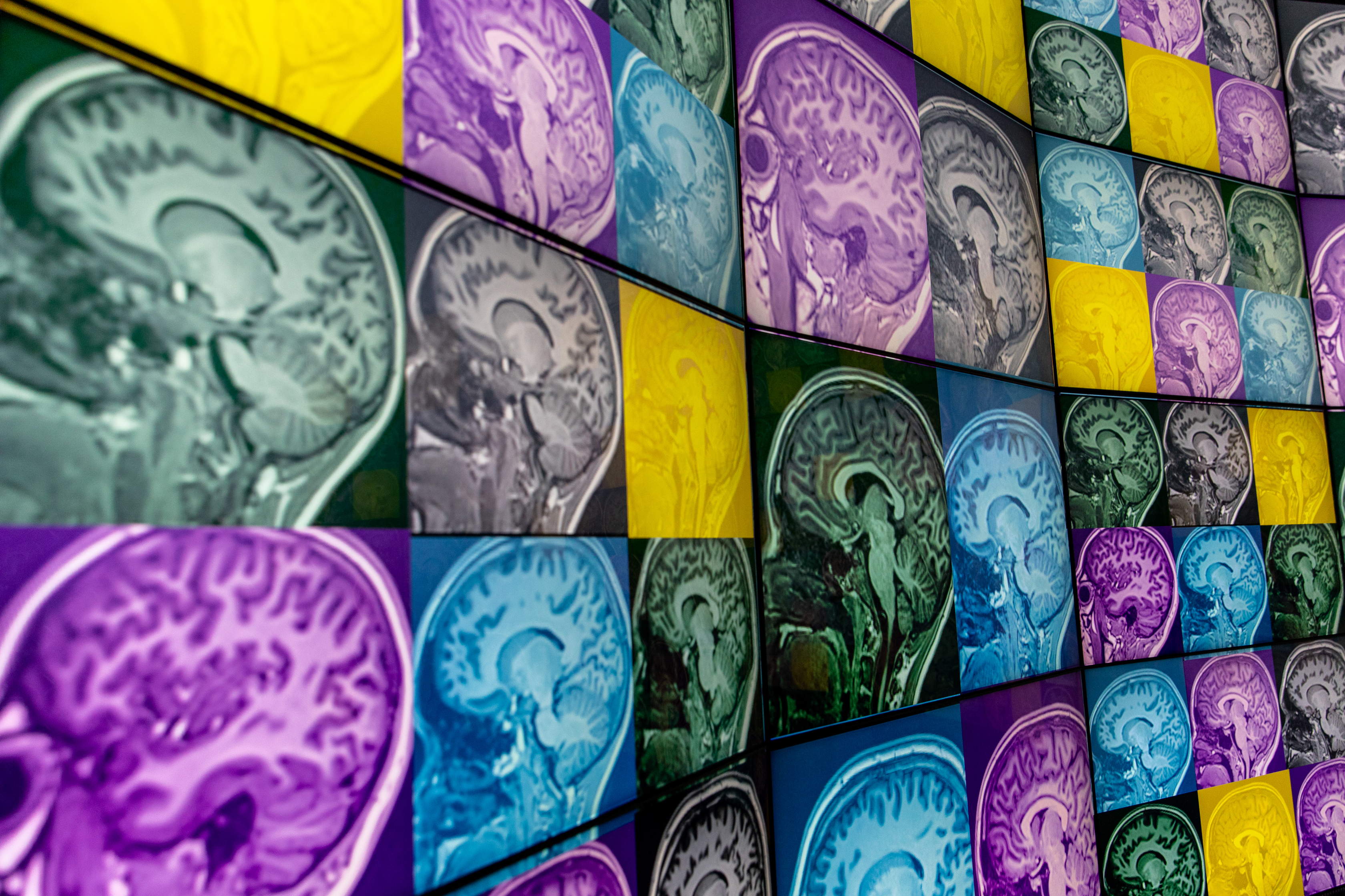 University of the Sunshine Coast