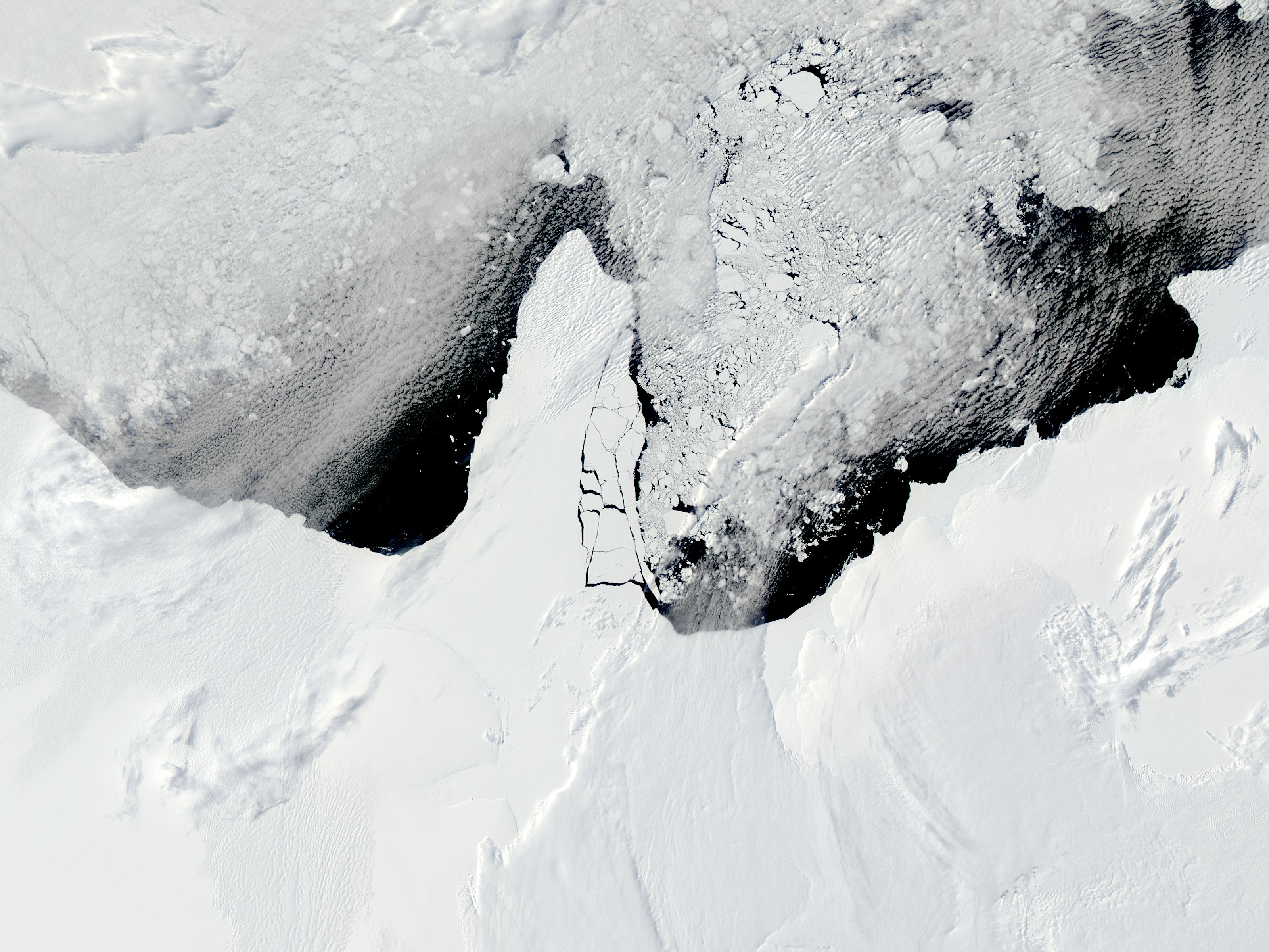 Ronne ice shelf and sea ice 2010 (photo: NASA)