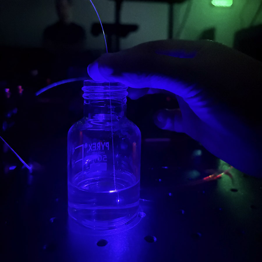 A fibre-optic probe with 3D micro-printed sensing structures is immersed in a liquid sample, where light-induced emission reveals changes in the chemical environment in real time.