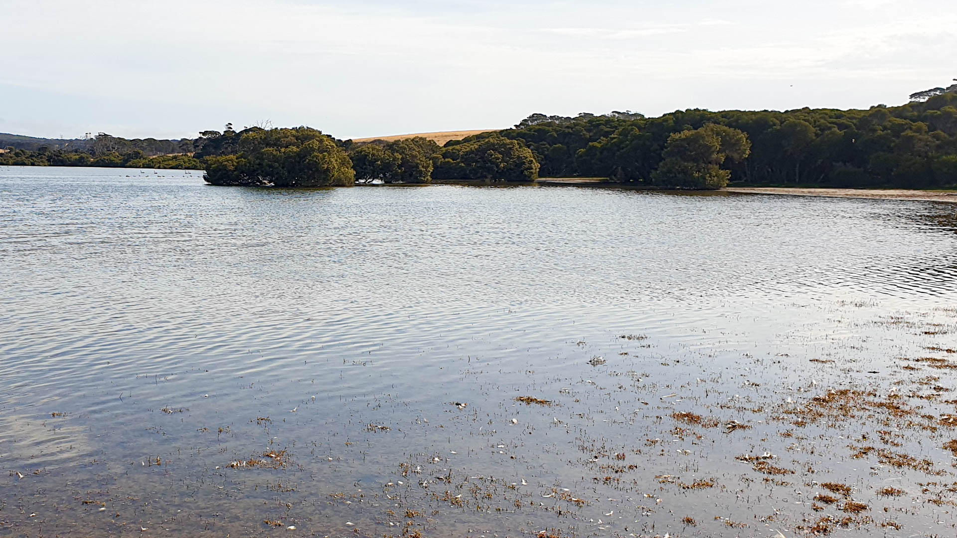 Lashmars Lagoon on Kangaroo Island, South Australia. Credit: Jonathan Tyler.