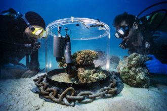 Coral village