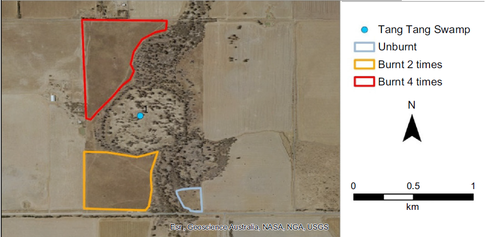 Adapted from the paper's Fig. 1. The study site showing the locations of the burn treatments in Tang Tang Swamp, Dja Dja Wurrung Country, Victoria. Credit: Price, et al