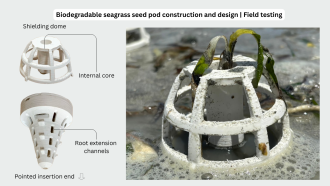Biodegradable seagrass pod design.