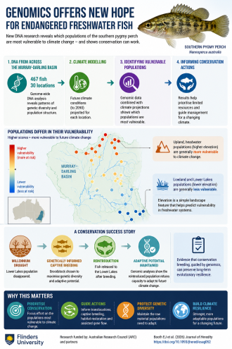 Infographic explaining this major research 
