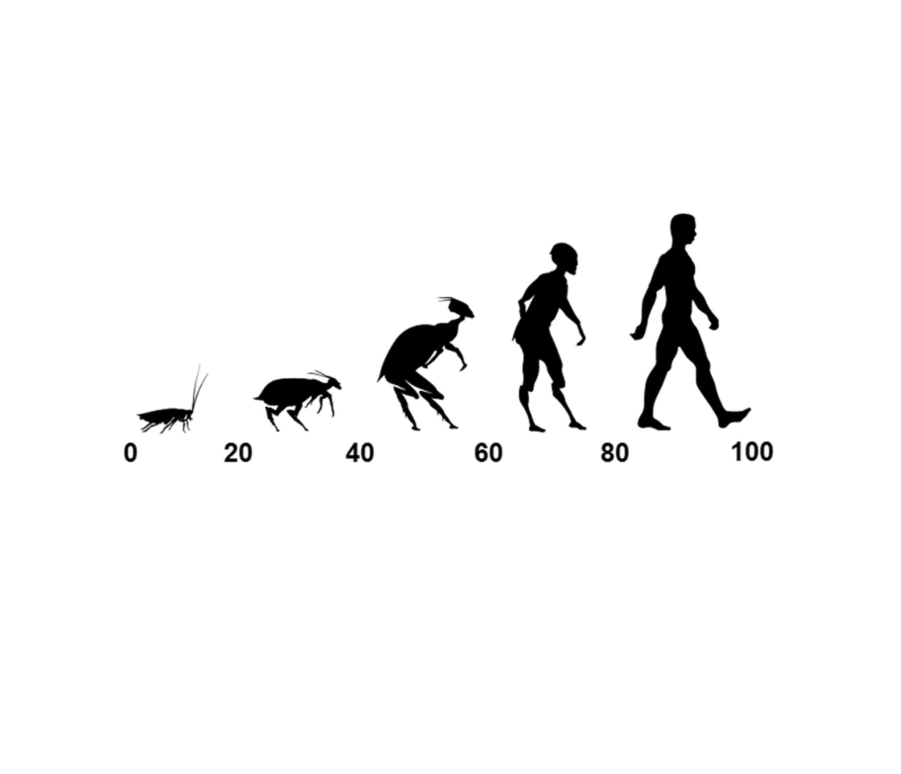 Cockroach to cyclists scale.
