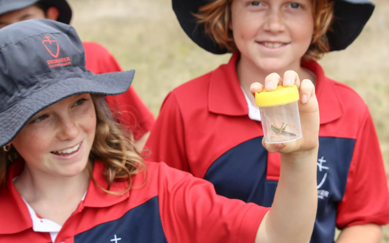 Regional school students buzzing over citizen science project results