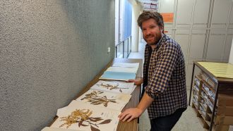 Todd McLay with Acacia pycnantha specimens
