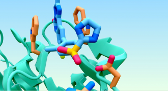 AlphaFold 3, an AI model for looking at protein and molecular structures, could open up exciting possibilities for drug discovery, agricultural research, biological research, genetics, and more, according to researchers at Google DeepMind and Isomorphic Labs. The program is trained on the Protein Data Bank, and is able to process over 99% of all known biomolecular complexes contained in that database. It produces highly accurate predictions of proteins and their interactions with other biological molecules, which is essential for understanding all kinds of biological processes. The team say researchers can now create and test hypotheses at the atomic level, and produce structure predictions within seconds, rather than the months or years it could take without the technology. Like other AI, the authors note some limitations in the program, including some incorrect chirality (a symmetry property), and hallucinations, but the team says the program’s accuracy significantly exceeds that of current prediction tools.
