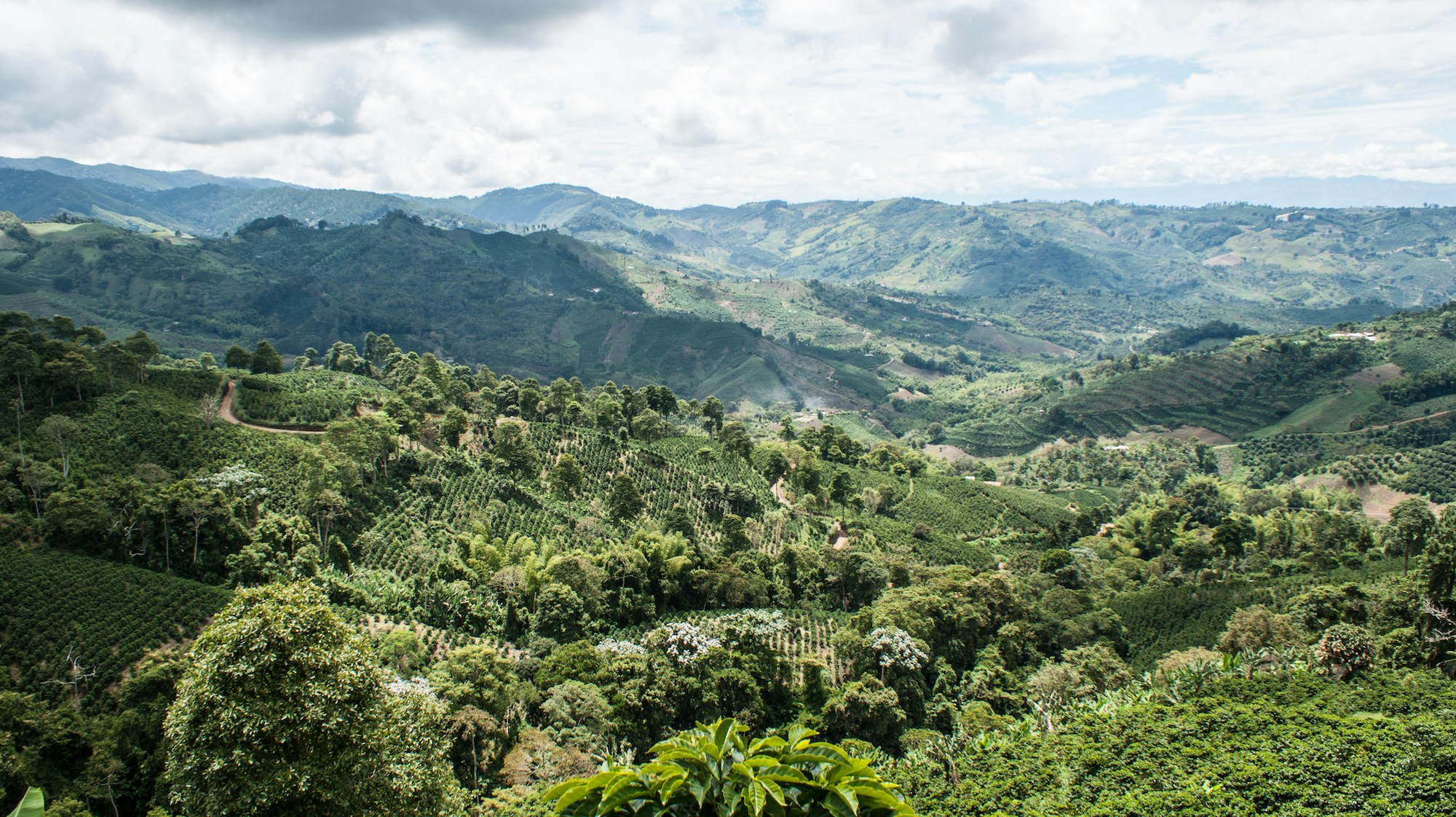 Julian Andres Carmona Serrato (Unsplash)