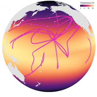 SeaFlow cruise tracks overlaid on sea surface temperature gradient