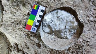 Dinosaur egg fossil sampled for geochronology