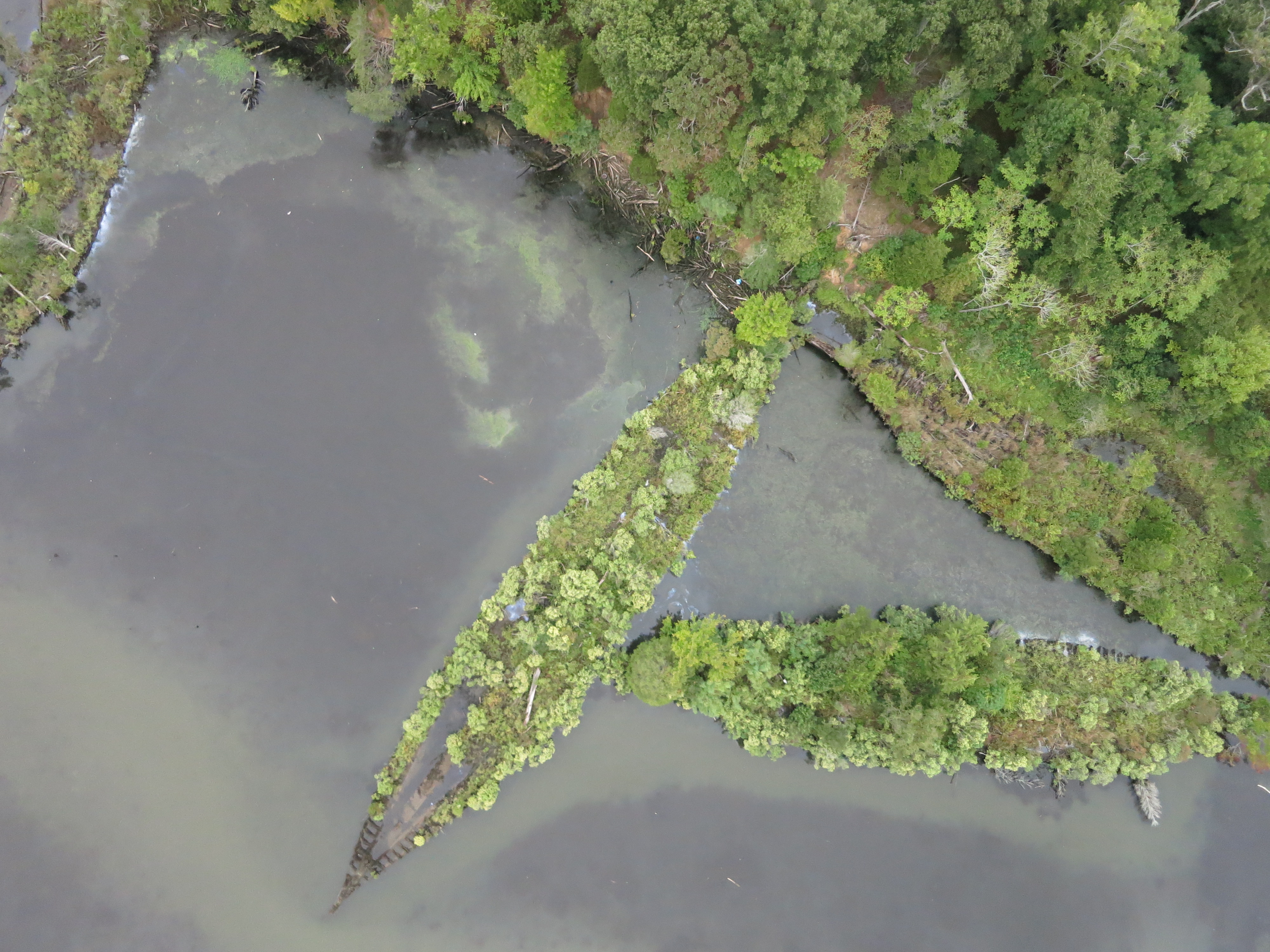 As the “Ghost Fleet” shipwrecks become islands, they are shaping both the coastal and aquatic habitats of Mallows Bay. The so-called “Three Sisters” are pictured here, in the bottom right. Credit: Duke Marine Robotics and Remote Sensing Lab