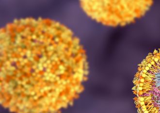 A newly published perspective article in Nature Nanotechnology details innovative nanoparticle technology to eliminate harmful, disease-causing proteins in the body.