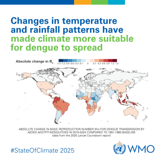 Dengue