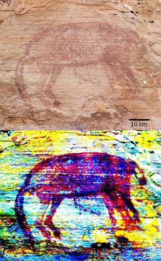 Injalak Hill Large Naturalistic style thylacine alone on a panel 
