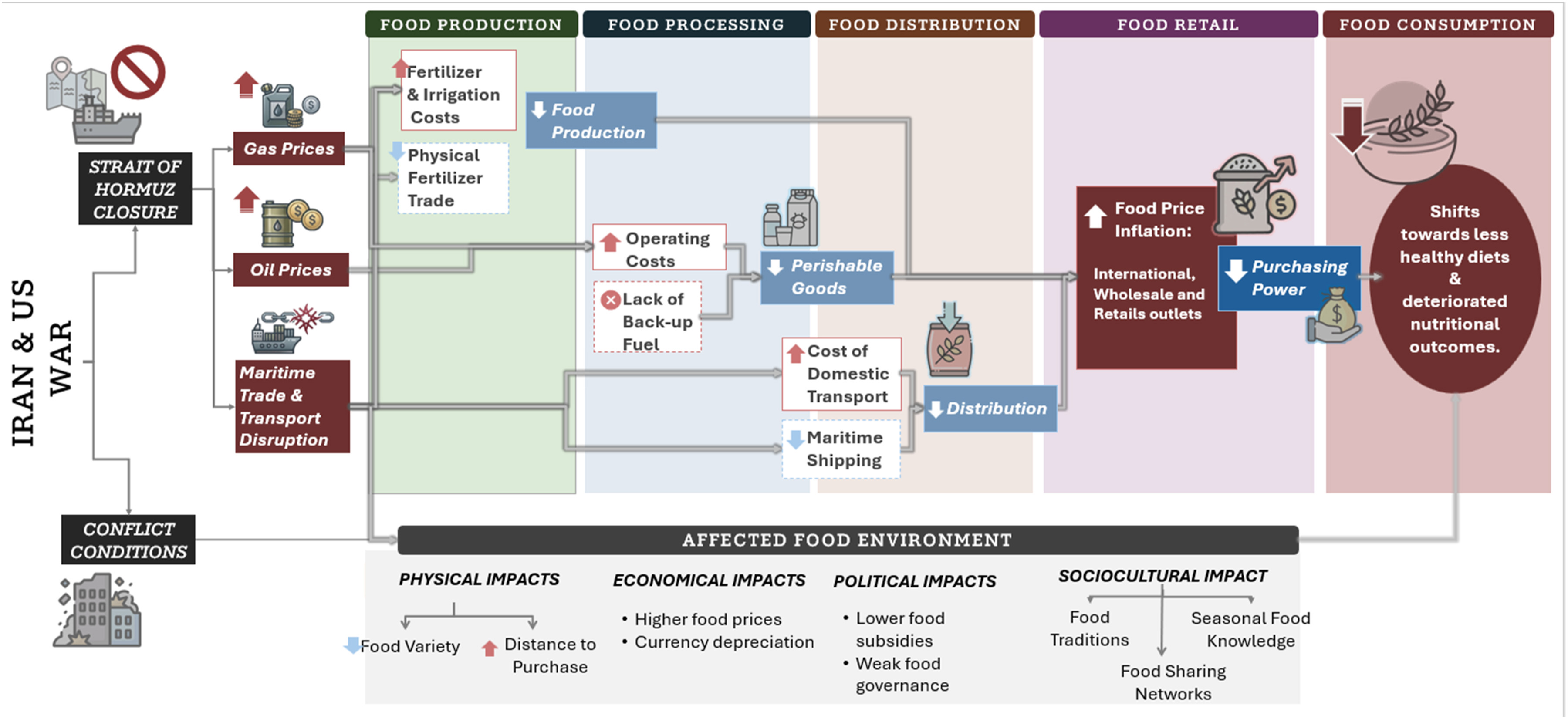 :  Analysis of the impact of the U.S.-Iran war on food security; a food system approach. Credit: Global Food Security (2026). DOI: https://doi.org/10.1016/j.gfs.2026.100919