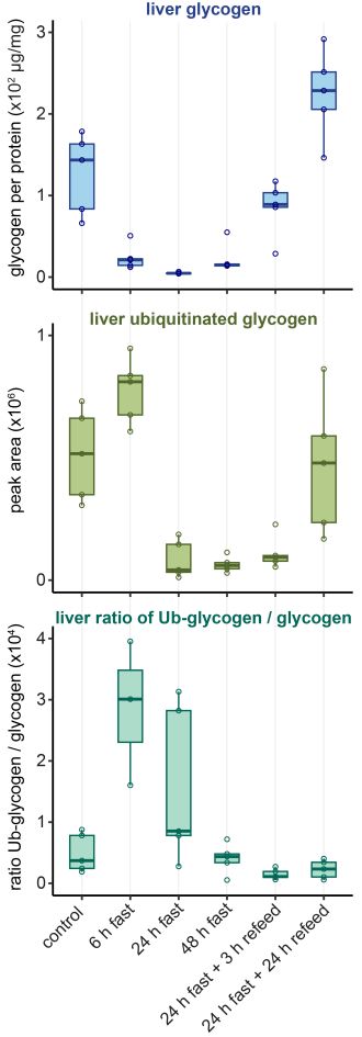 Glycogen_Boxplots Fasting