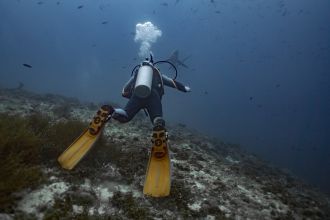 A diver in the Philippines