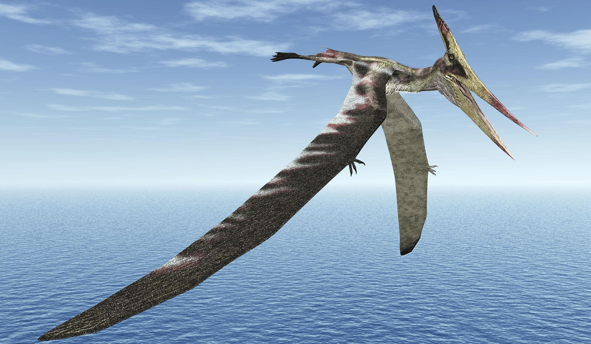 This perfectly preserved pterosaur wing just rewrote the fossil rulebook
