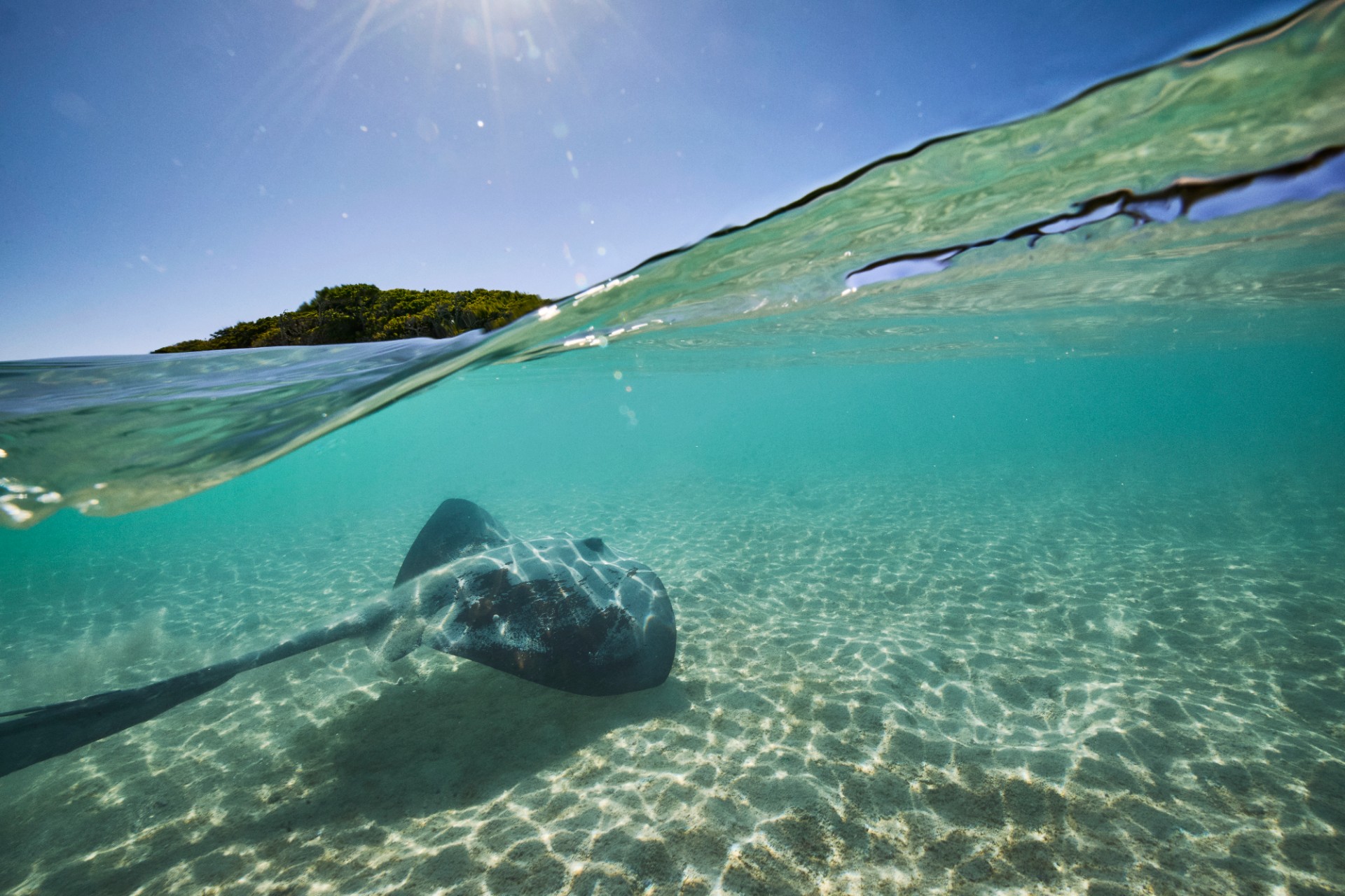 Photo: Richard Freeman, UNSW Sydney