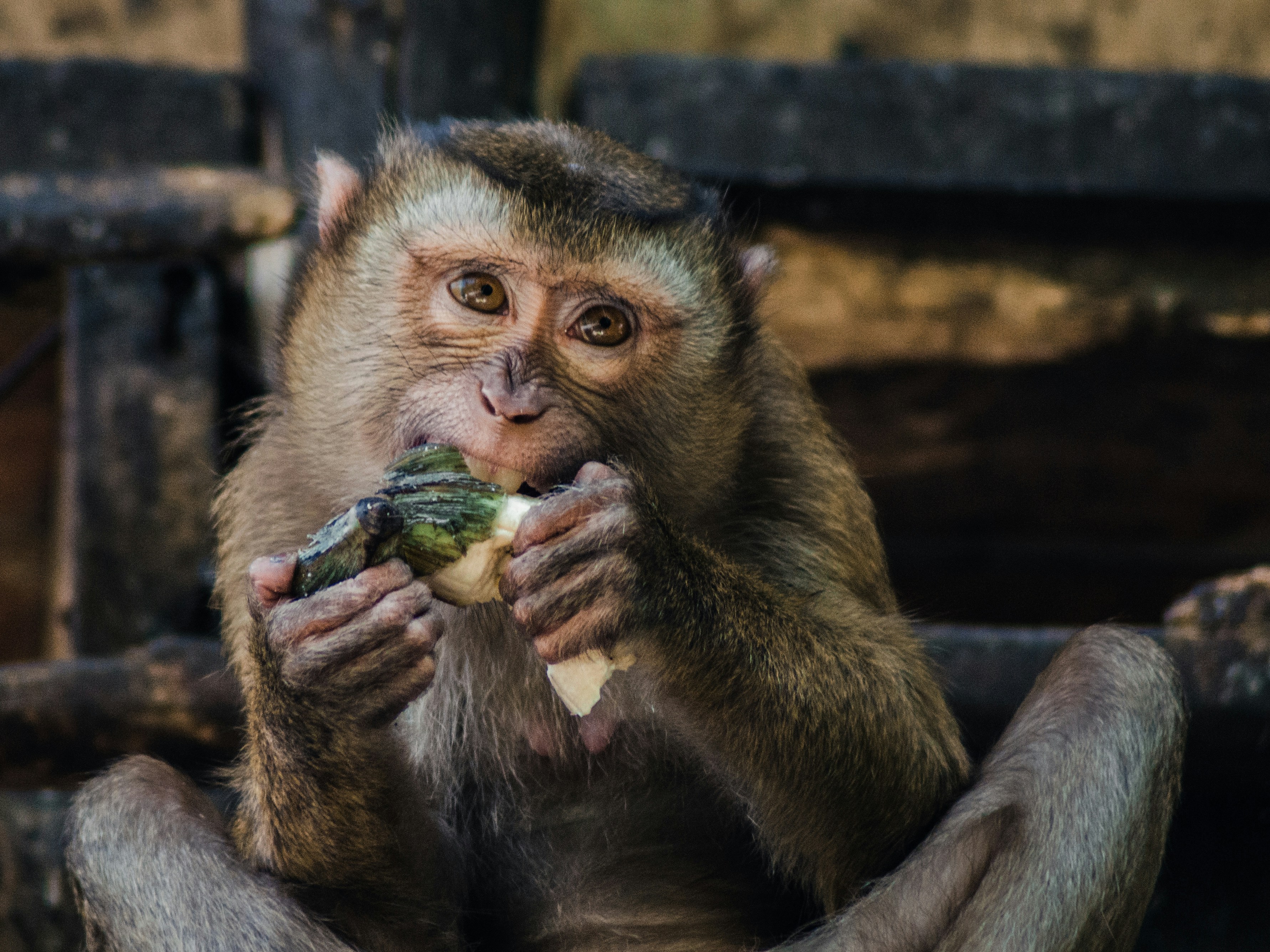 Photo by alexey turenkov on Unsplash