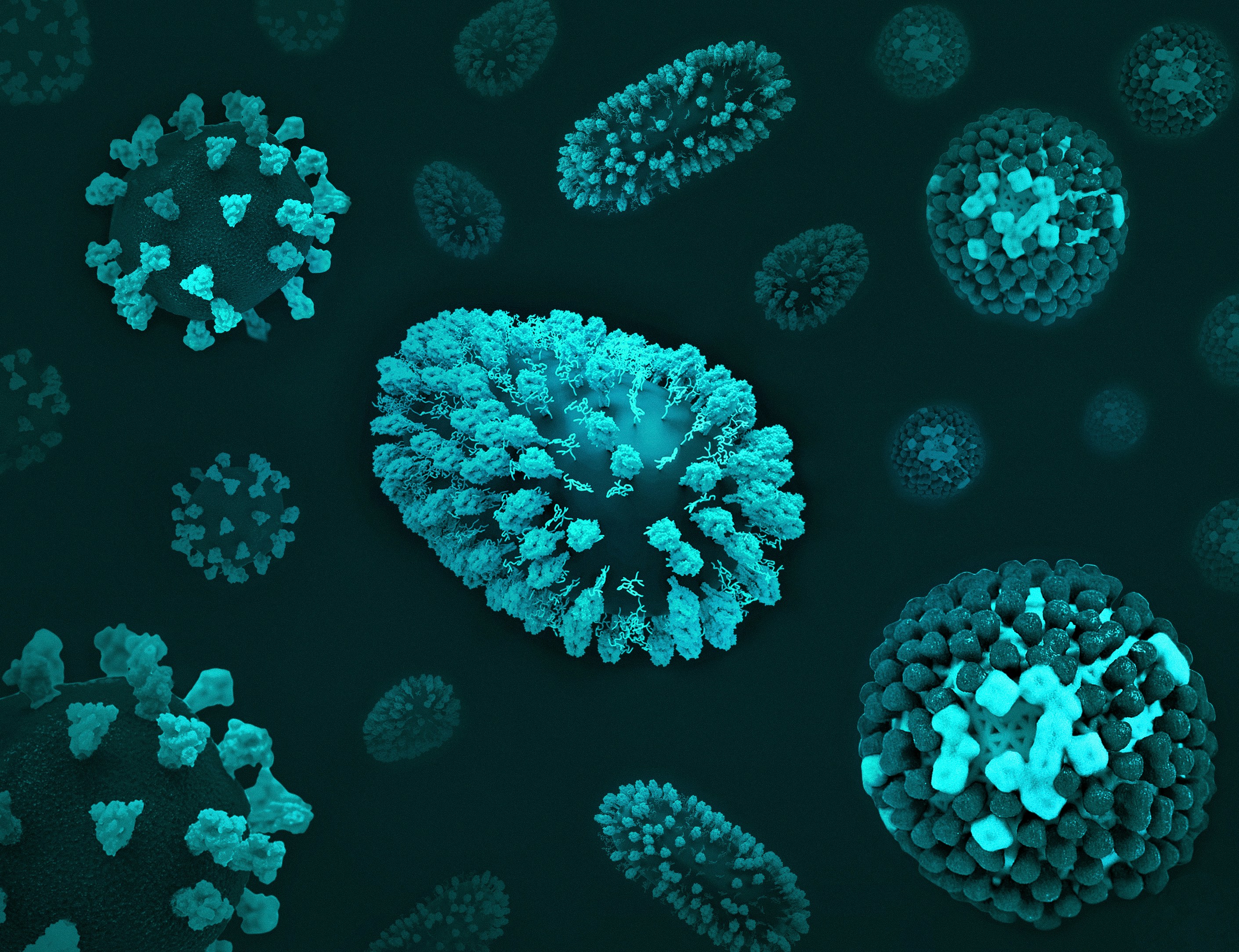 COVID-19, RSV, and Flu 3D renditions of three respiratory viruses: COVID-19 (left), RSV (center; oblong shape), and flu (right). Credit: National Institute of Allergy and Infectious Diseases via Unsplash