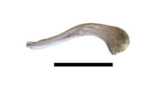 Figure 8a