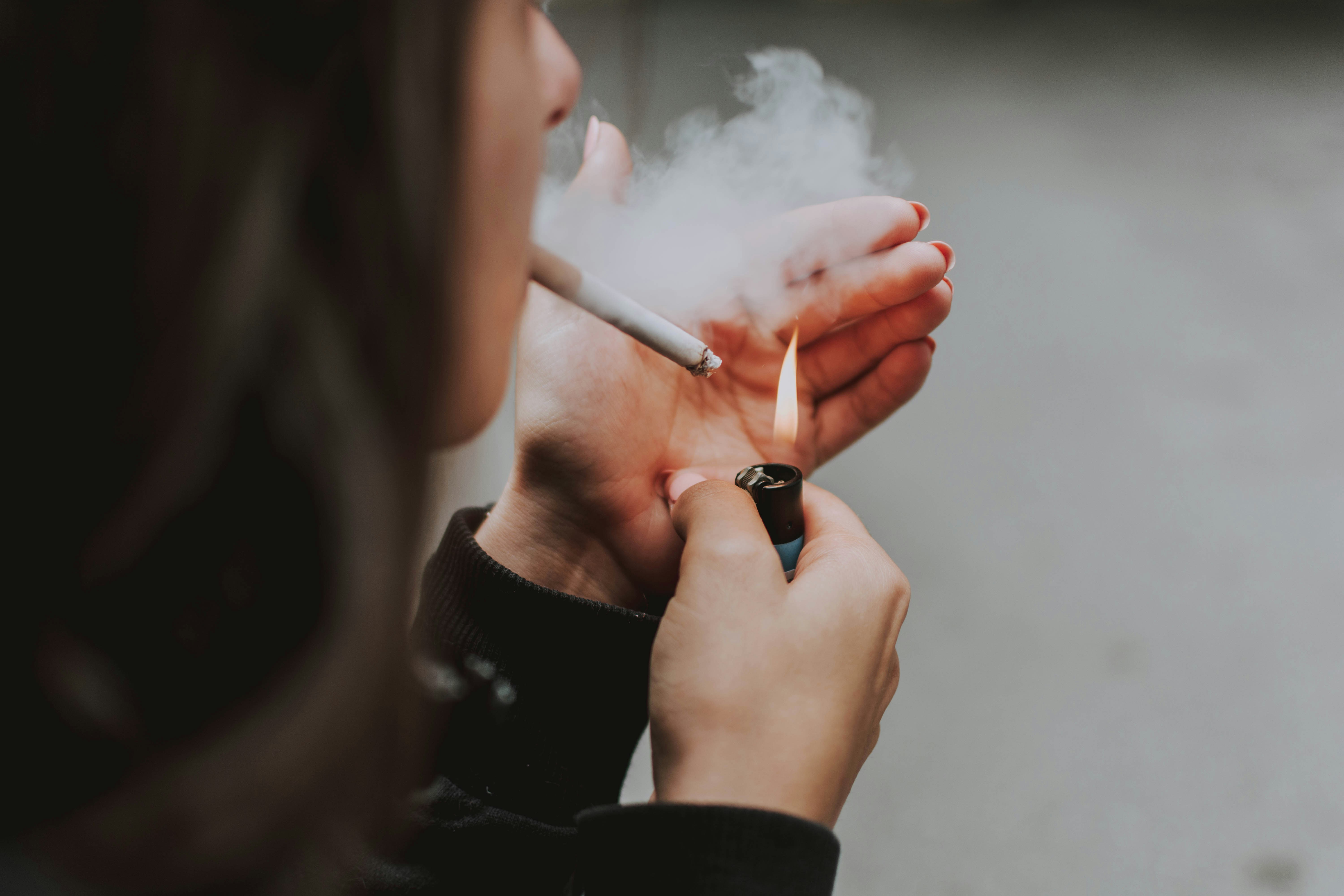Photo by lilartsy on Unsplash