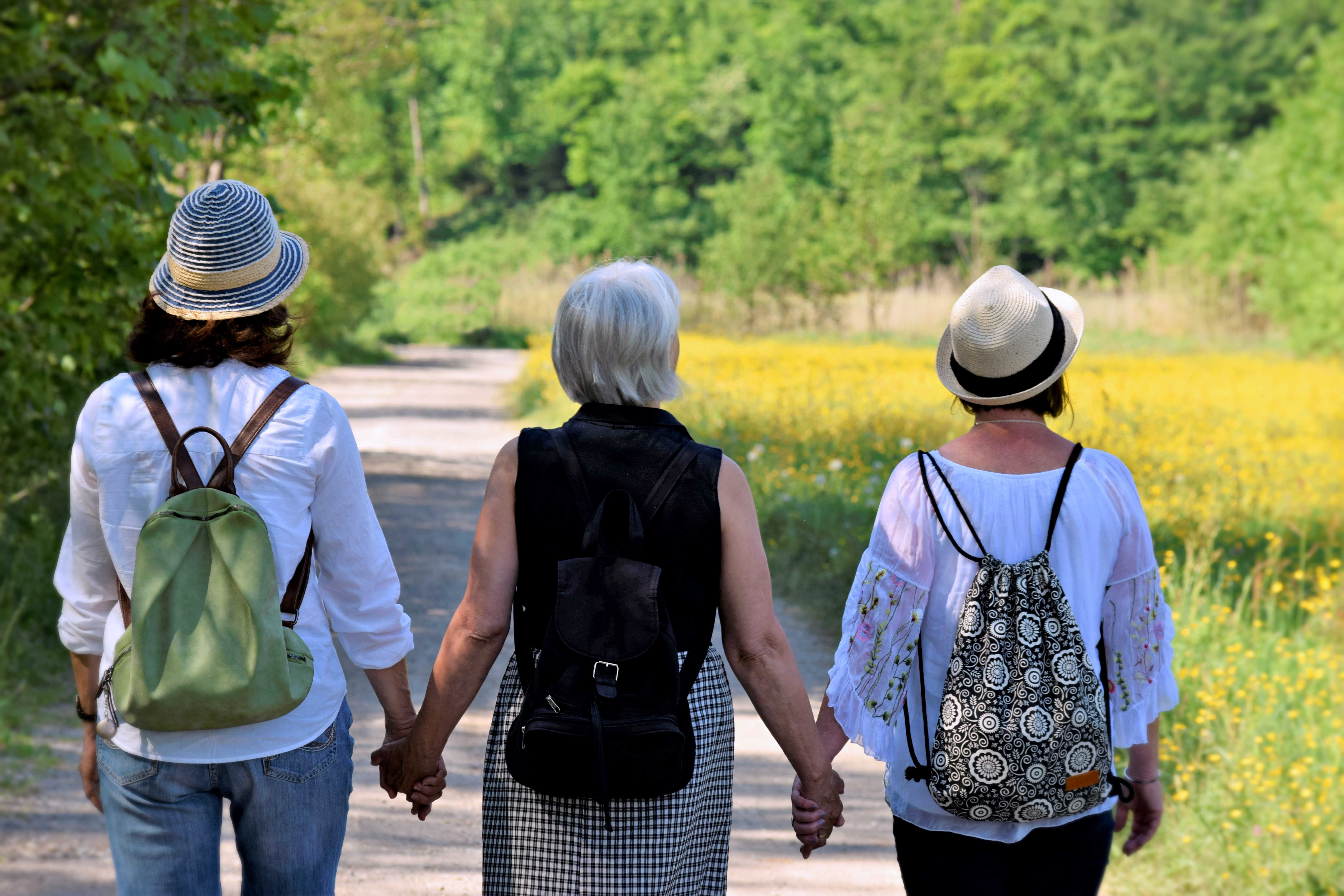 Menopause-linked brain changes may differ from those in puberty, pregnancy