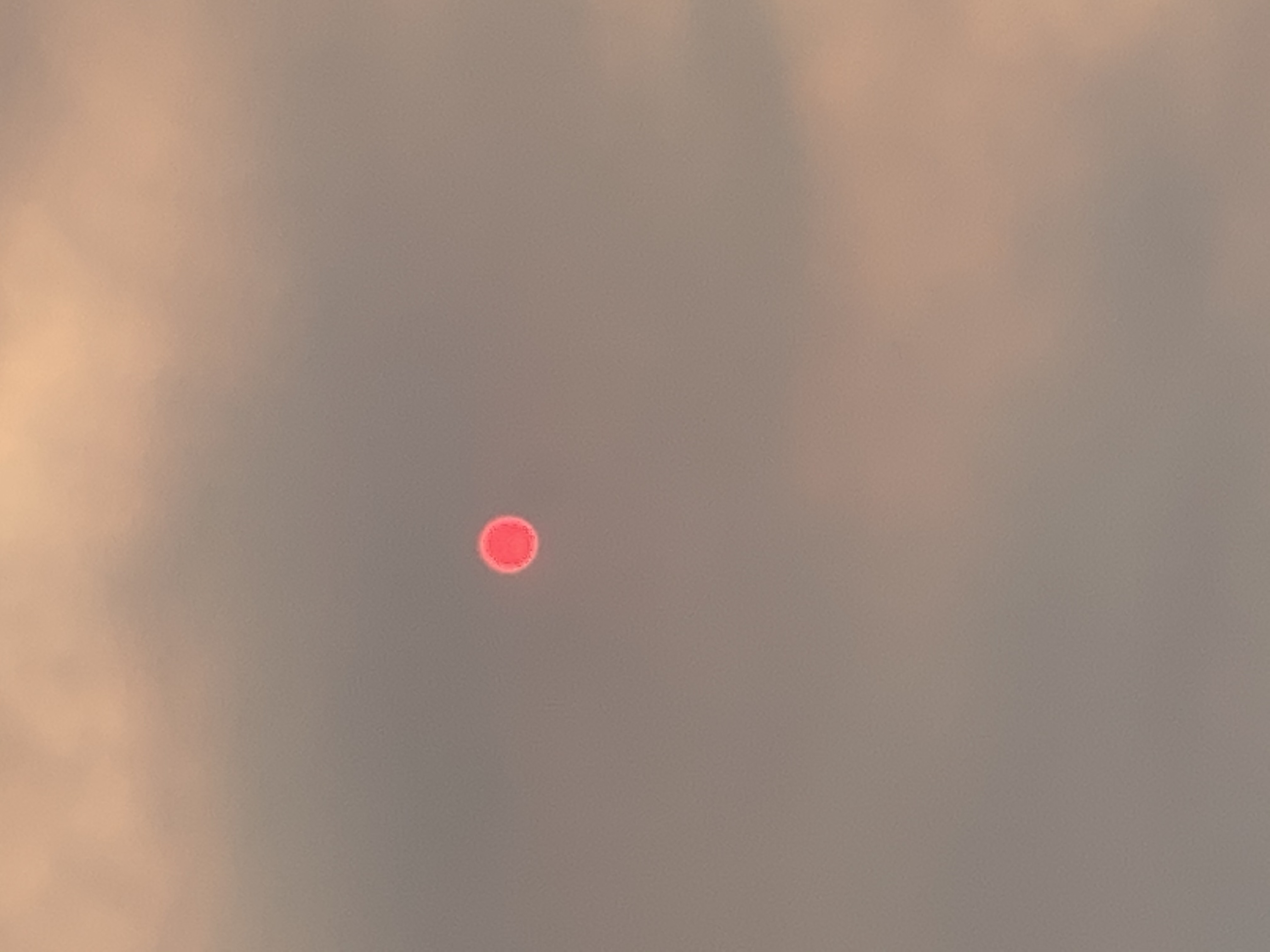 A 'red sun' photo taken by Prof Negishi from Nepean Hospital during the bushfire smog
